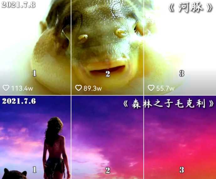 自动草稿 自动草稿