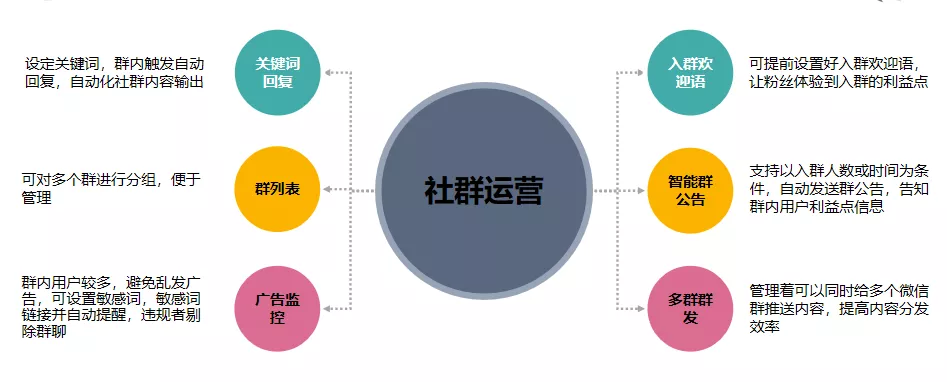 自动草稿 自动草稿