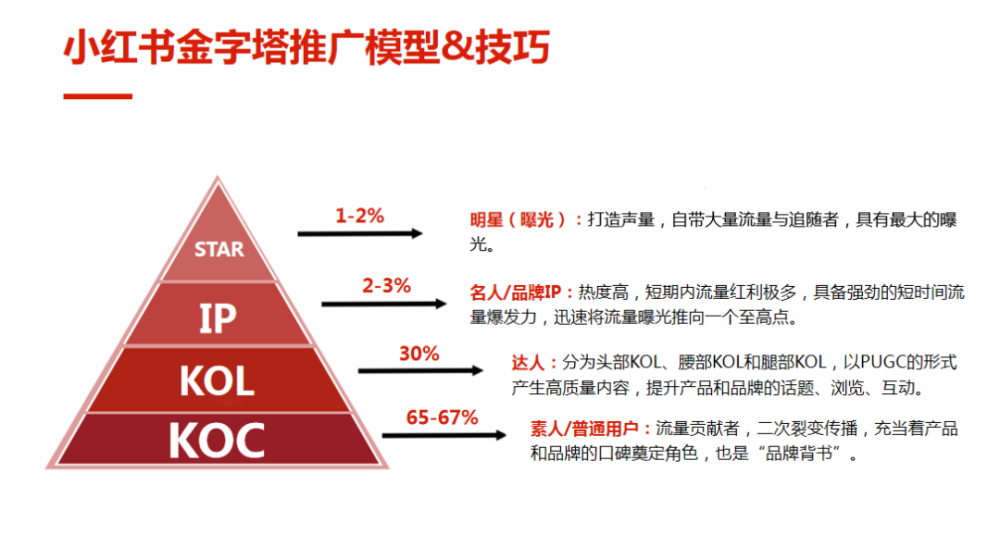 如何做小红书种草推广？学习金字塔模型&技巧