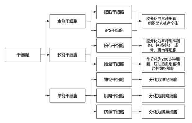 互联网产品是什么？系统论让你重新理解PM的思维模型