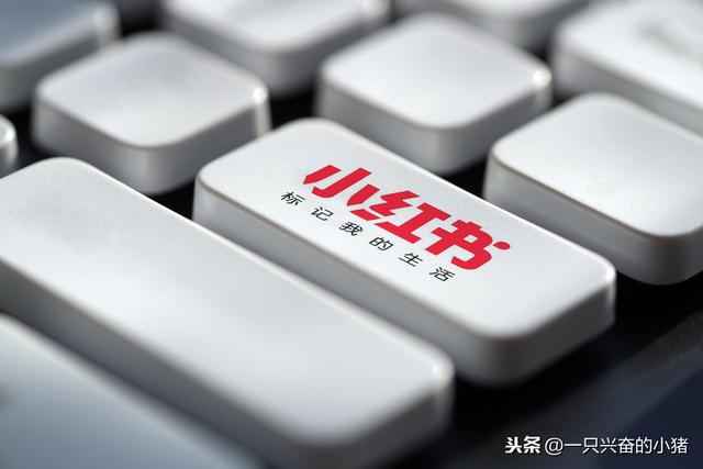 小红书七步精准定位和引流变现转化,附:工作计划表 小红书七步精准定位和引流变现转化,附:工作计划表