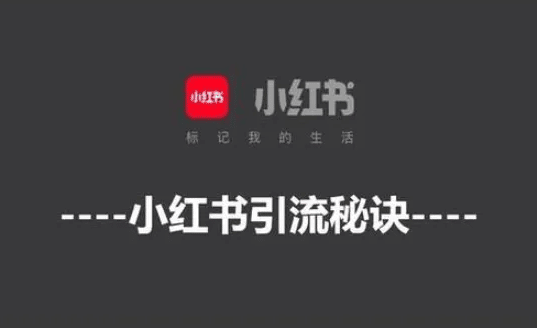 小红书起号最全避坑指南 vs 常见问题50个